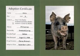 Phoney Baloney's Pet Pig