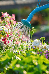 gardening 2
