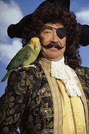 pirate and parrot