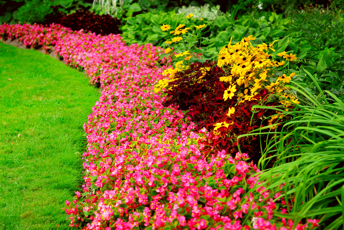 gardening 1