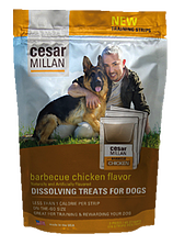 dog treat pouch