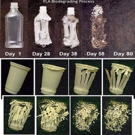 Biodegradable Bottles and Jars