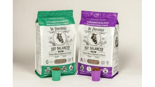 Flat Bottom Bags