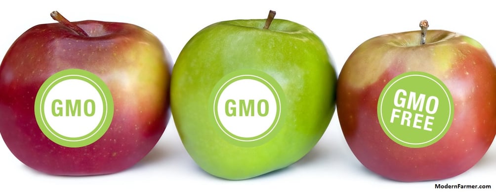 How GMO Food Labeling Regulations Affect Retail Packaging how-gmo-food-labeling-regulations-affect-retail-packaging
