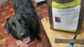 Purina Dog Food Packaging
