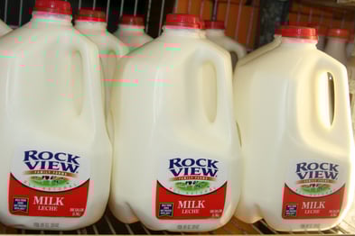 Milk Jugs
