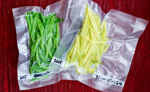 Summer Veggies in Foodsaver Bags