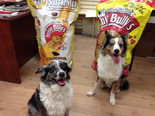 Big Bags for Packaging Dog Food