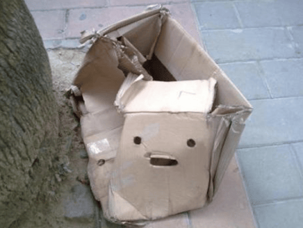 Cardboard Box