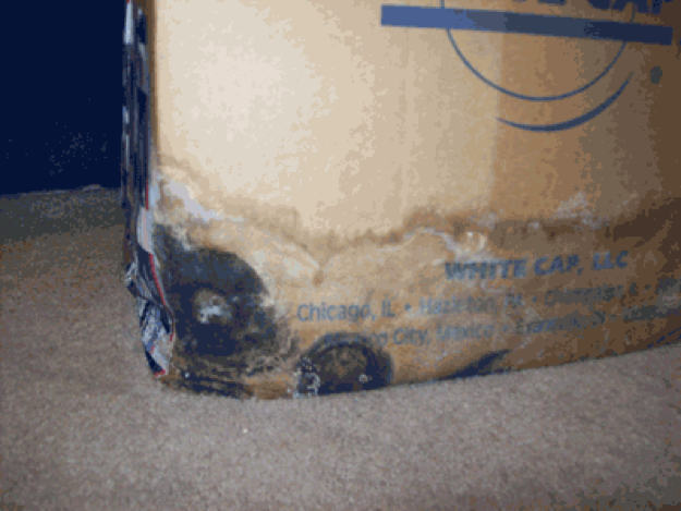 Moldy Cardboard Box