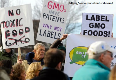 Label_GMO_Foods.jpg